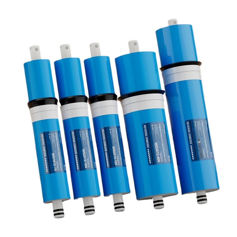 Water Purifier Ro Reverse Osmosis 600Gpd - Cartouche de filtre à osmose inverse
